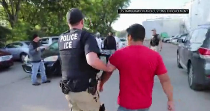 Pre-Thanksgiving ICE sting nets dozens of DC-area illegal immigrants with criminal histories
