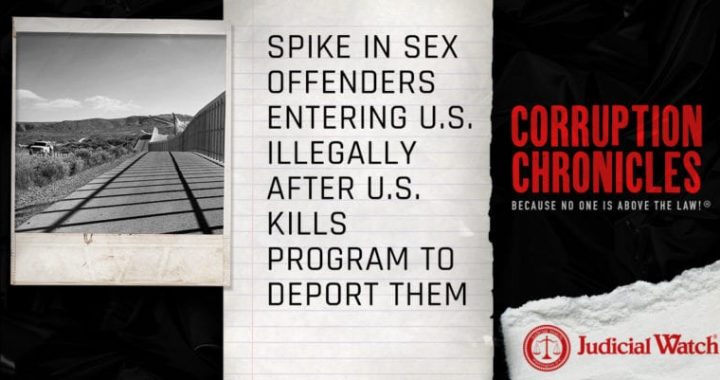 Spike in Sex Offenders Entering U.S. Illegally after U.S. Kills Program to Deport Them